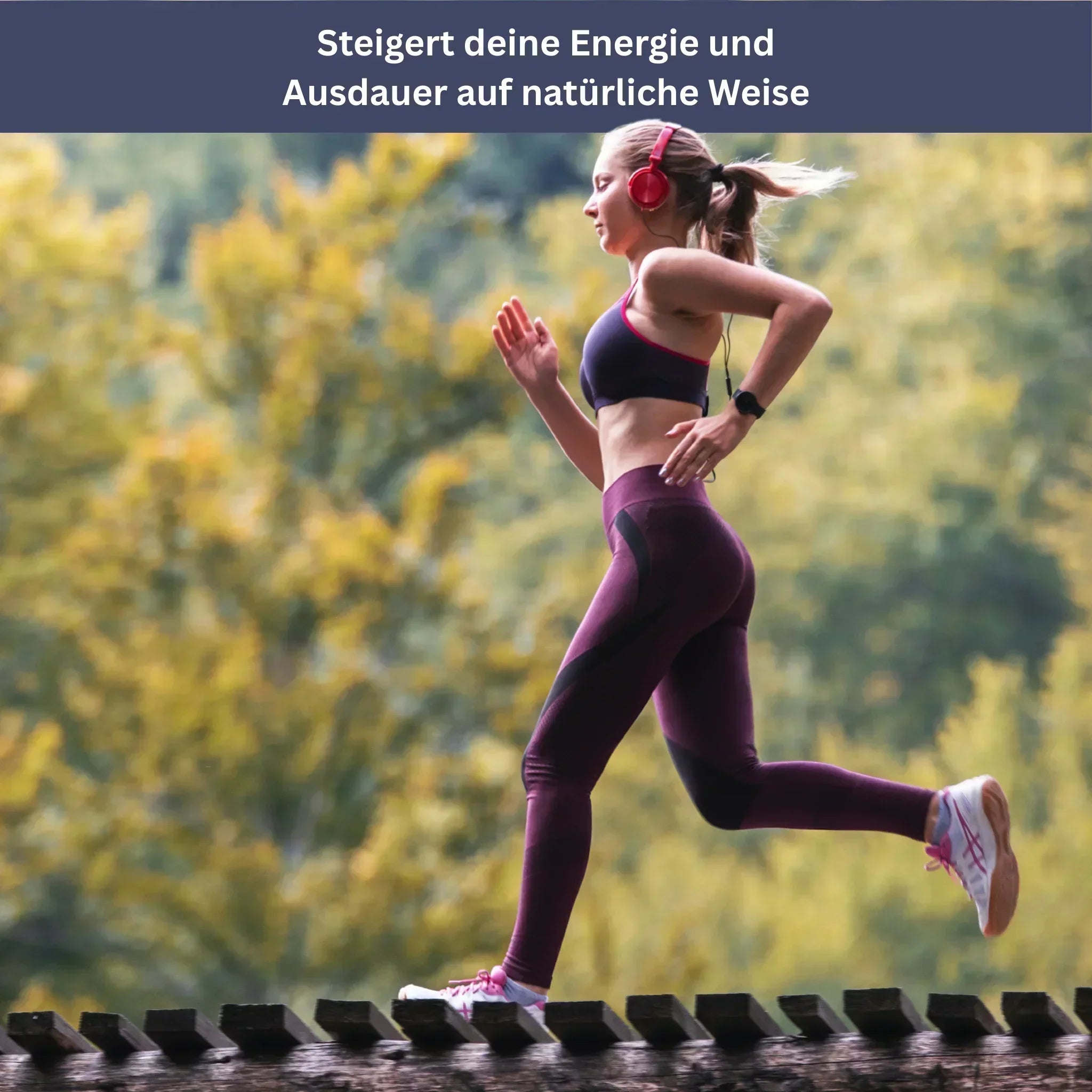 Shilajit - Das Original