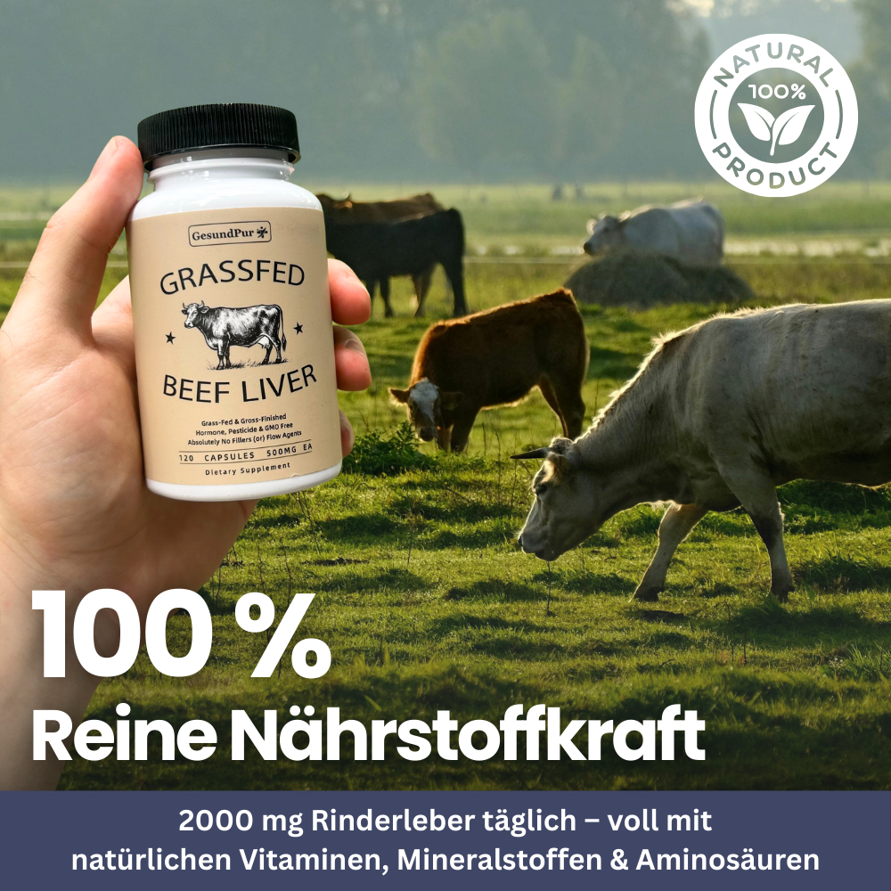 Rinderleber-Kapseln – Energie & Vitalität