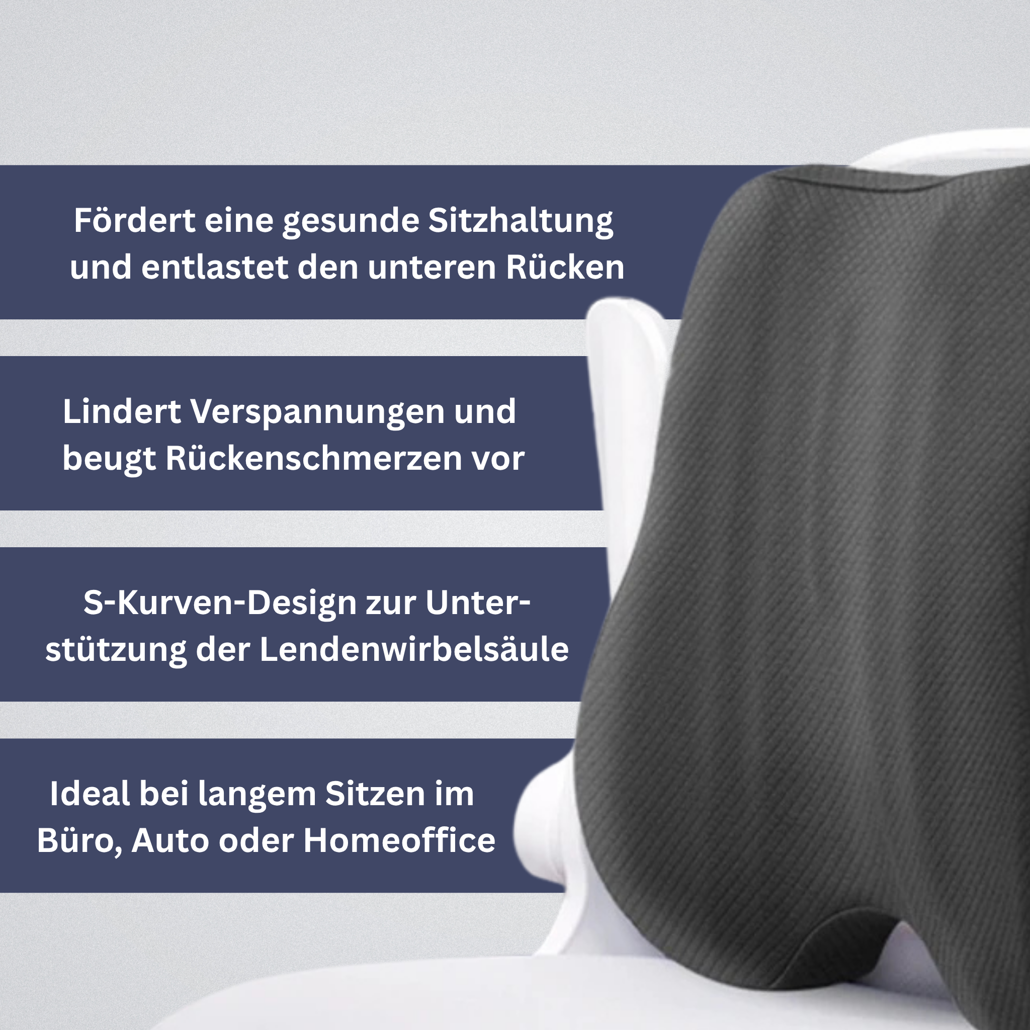 PosturePlus - Orthopädisches Rückenpolster
