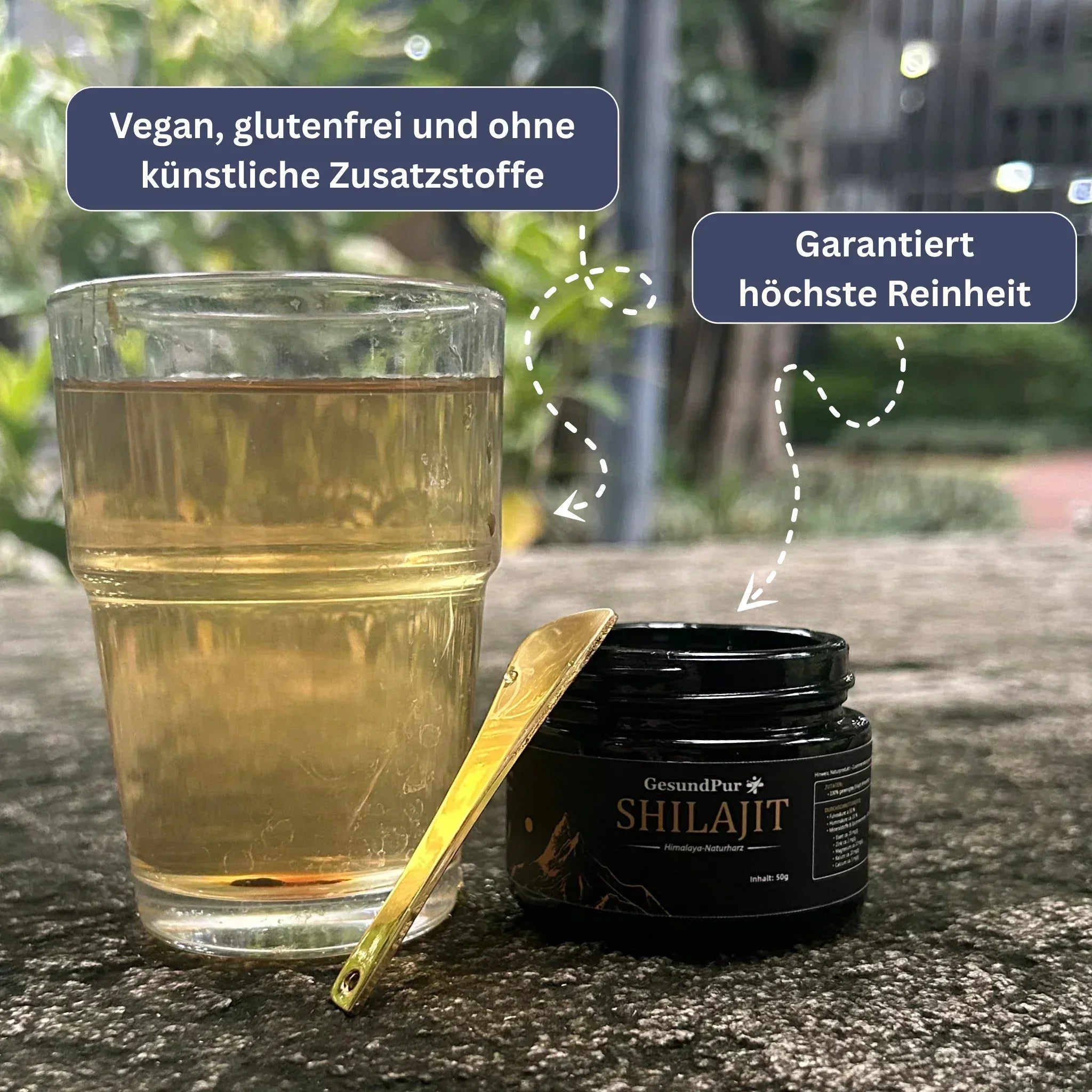 Shilajit - Das Original